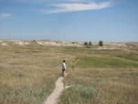 On the Medicine Root Trail